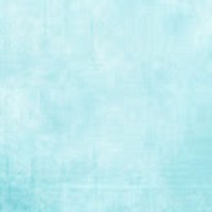 Meet your Posher, Carmen